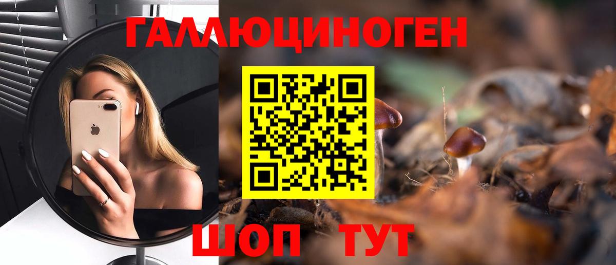 Псилоцибиновые грибы Psilocybine cubensis  Псилоцибиновые грибы Magic Shrooms  Ртищево  Вход с VPN 